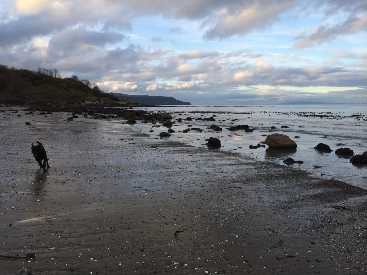 Josies Place At Waters Edge Self Catering Apartment Glenarm Eksteriør billede